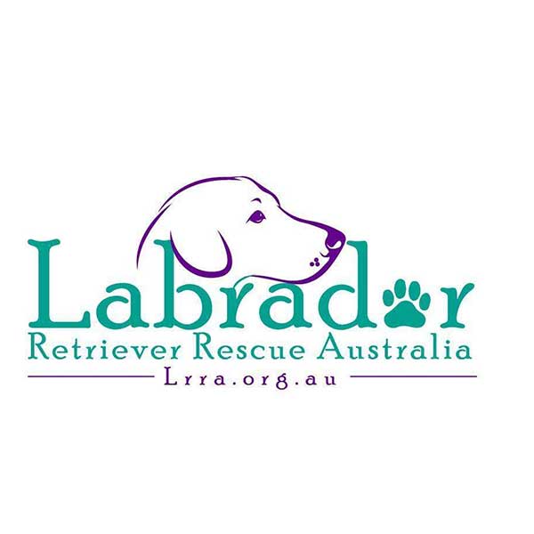 Labrador Retriever Rescue Australia